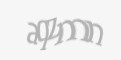 Защитный код