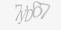 Защитный код